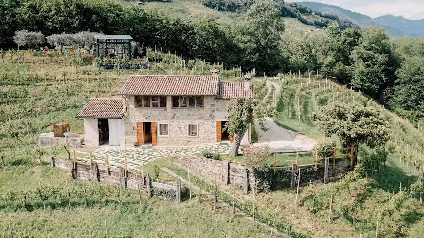 Agriturismo Il Conte Vassallo