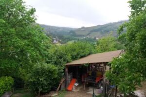 Agriturismo Il Crutin