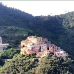 Agriturismo ” Il Frantoio