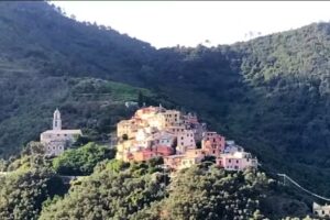 Agriturismo ” Il Frantoio