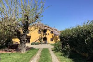 Agriturismo Il Gelso Nero