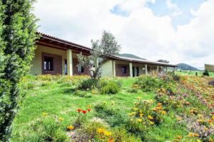 Agriturismo Il Ginepro Fluminimaggiore