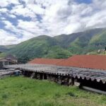 Agriturismo Il Girasole