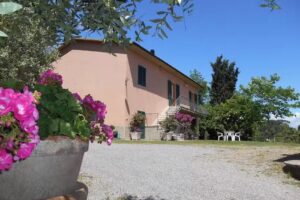 Agriturismo Il Loghino