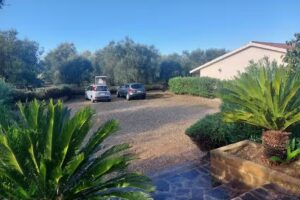 Agriturismo Il Migliarino