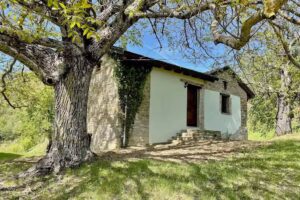 Agriturismo Il Noce d’Oro