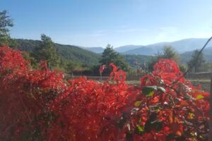 Agriturismo Il Paesello