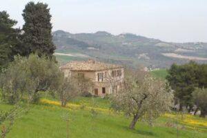 Agriturismo Il Palmarone – Paesaggio collinare tra mare e monti, Gite a piedi, in bici