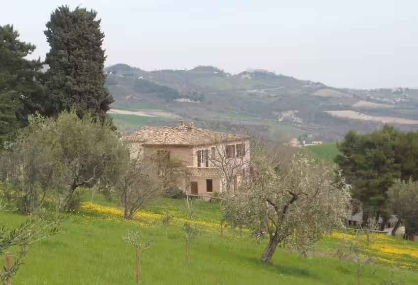 Agriturismo Il Palmarone – Paesaggio collinare tra mare e monti, Gite a piedi, in bici