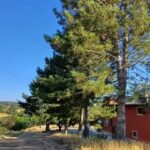 Agriturismo il parco