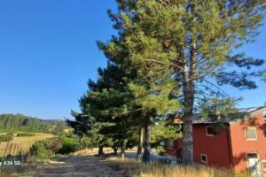 Agriturismo il parco