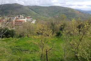 Agriturismo Il Pioppo & Az. Agro Avicola L’Uovo da S.Michele