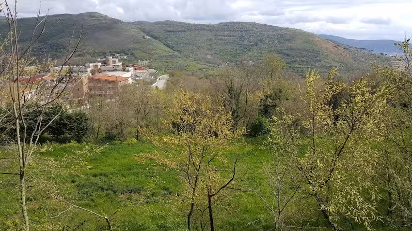Agriturismo Il Pioppo & Az. Agro Avicola L’Uovo da S.Michele