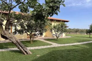 Agriturismo Il Podere