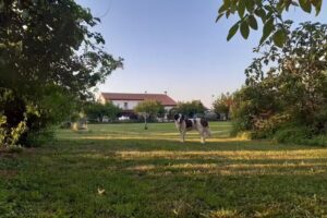 Agriturismo il Podere Vedelago – Camere e Ristorazione