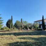 Agriturismo Il Poderino