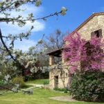 Agriturismo Il Poggio