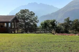 Agriturismo “Il Riccio”