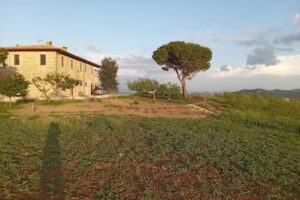 Agriturismo Il Sassolino