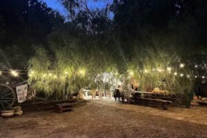 Agriturismo Il Sinis