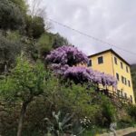 Agriturismo il sogno