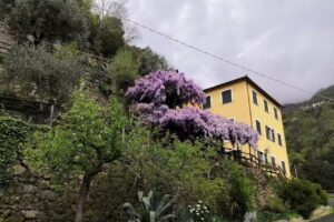 Agriturismo il sogno