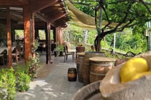 Agriturismo Il Tintore