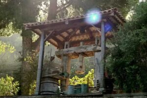 Agriturismo Il Torchio