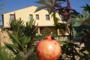 agriturismo IL TORRIONE