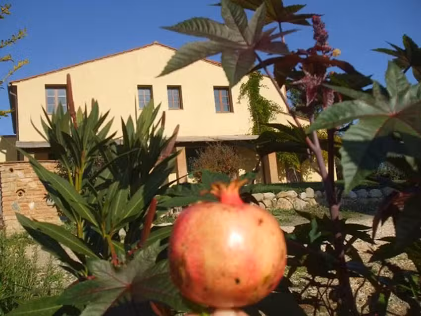 agriturismo IL TORRIONE