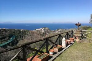 Agriturismo il Turuziello