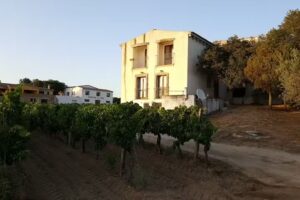 Agriturismo il Vermentino – Cantina Tani Vini