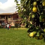 Agriturismo Il Viandante