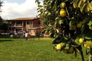 Agriturismo Il Viandante