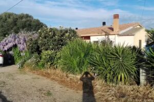 Agriturismo L’agliastru