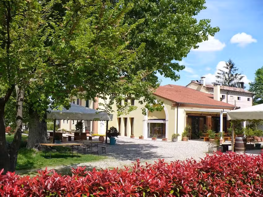 Agriturismo l’Albara – Wines, Pool & SPA