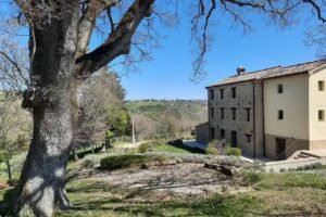 Agriturismo L’ALBORETO SALVATICO