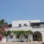 Agriturismo L’aranceto