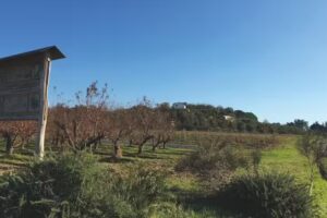 Agriturismo l’isola di Meazzini Gianfranco & Giampaolo