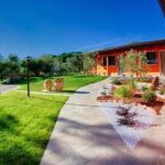 Agriturismo l’Uliveto