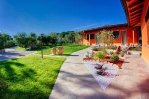 Agriturismo l’Uliveto