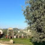 Agriturismo L’Uliveto