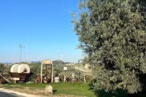 Agriturismo L’Uliveto