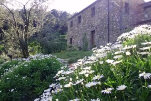 Agriturismo L’Uliveto nel Parco