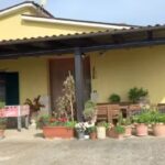 Agriturismo La Botte