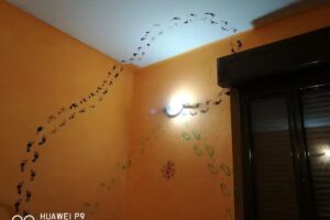 Agriturismo La Cà dal Trifulin