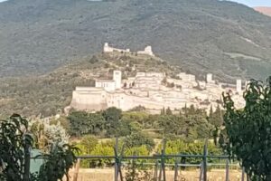 Agriturismo La Cantina