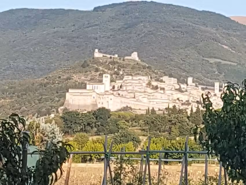 Agriturismo La Cantina