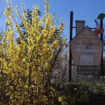 Agriturismo La Casetta