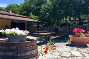 Agriturismo La Castagna